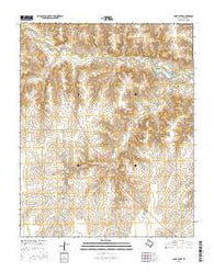 Lake Fryer Texas Current topographic map, 1:24000 scale, 7.5 X 7.5 Minute, Year 2016