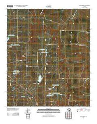 Lake Merritt Texas Historical topographic map, 1:24000 scale, 7.5 X 7.5 Minute, Year 2010