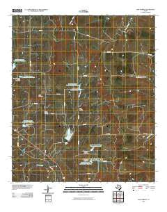 Lake Merritt Texas Historical topographic map, 1:24000 scale, 7.5 X 7.5 Minute, Year 2010