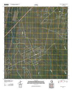 Lake Pasture Texas Historical topographic map, 1:24000 scale, 7.5 X 7.5 Minute, Year 2010