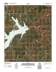 Lake Stamford East Texas Historical topographic map, 1:24000 scale, 7.5 X 7.5 Minute, Year 2010