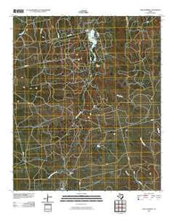 Lake Trammell Texas Historical topographic map, 1:24000 scale, 7.5 X 7.5 Minute, Year 2010