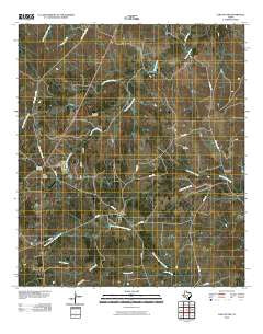 Lake Victor Texas Historical topographic map, 1:24000 scale, 7.5 X 7.5 Minute, Year 2010