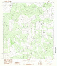 Landrum Tank Texas Historical topographic map, 1:24000 scale, 7.5 X 7.5 Minute, Year 1982