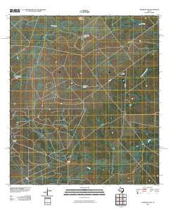 Landrum Tank Texas Historical topographic map, 1:24000 scale, 7.5 X 7.5 Minute, Year 2010