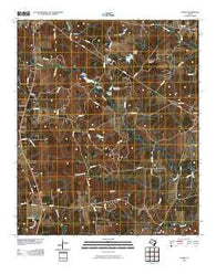 Lanier Texas Historical topographic map, 1:24000 scale, 7.5 X 7.5 Minute, Year 2010