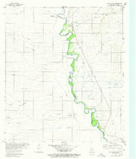 Las Conchas Texas Historical topographic map, 1:24000 scale, 7.5 X 7.5 Minute, Year 1980