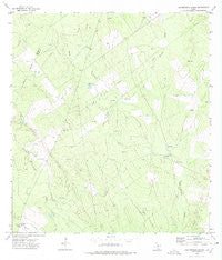 Las Escobas Ranch Texas Historical topographic map, 1:24000 scale, 7.5 X 7.5 Minute, Year 1972