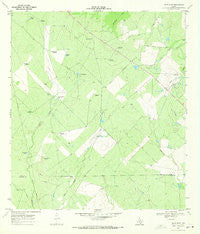 Las Flores Texas Historical topographic map, 1:24000 scale, 7.5 X 7.5 Minute, Year 1969