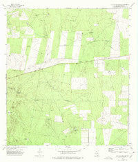 Las Islas Ranch Texas Historical topographic map, 1:24000 scale, 7.5 X 7.5 Minute, Year 1972