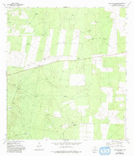 Las Islas Ranch Texas Historical topographic map, 1:24000 scale, 7.5 X 7.5 Minute, Year 1972