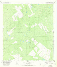 Las Ovejas Creek Texas Historical topographic map, 1:24000 scale, 7.5 X 7.5 Minute, Year 1980