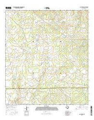 Las Flores Texas Current topographic map, 1:24000 scale, 7.5 X 7.5 Minute, Year 2016