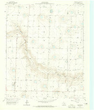 Lazbuddie Texas Historical topographic map, 1:24000 scale, 7.5 X 7.5 Minute, Year 1963