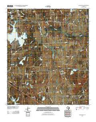 Leagueville Texas Historical topographic map, 1:24000 scale, 7.5 X 7.5 Minute, Year 2010