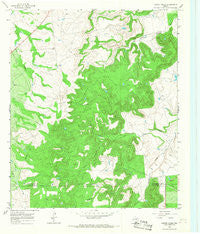 Leeper Creek Texas Historical topographic map, 1:24000 scale, 7.5 X 7.5 Minute, Year 1965