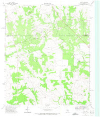 Lees Texas Historical topographic map, 1:24000 scale, 7.5 X 7.5 Minute, Year 1971