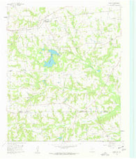 Leesburg Texas Historical topographic map, 1:24000 scale, 7.5 X 7.5 Minute, Year 1960