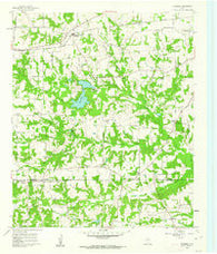 Leesburg Texas Historical topographic map, 1:24000 scale, 7.5 X 7.5 Minute, Year 1960