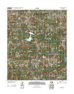 Leesburg Texas Historical topographic map, 1:24000 scale, 7.5 X 7.5 Minute, Year 2012