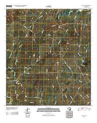 Leesville Texas Historical topographic map, 1:24000 scale, 7.5 X 7.5 Minute, Year 2010