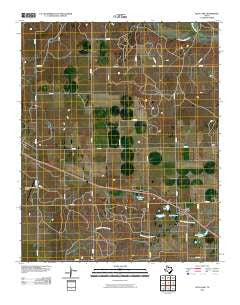 Lelia Lake Texas Historical topographic map, 1:24000 scale, 7.5 X 7.5 Minute, Year 2010
