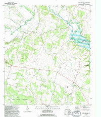 Leon Junction Texas Historical topographic map, 1:24000 scale, 7.5 X 7.5 Minute, Year 1995