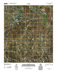 Leon Junction Texas Historical topographic map, 1:24000 scale, 7.5 X 7.5 Minute, Year 2010