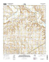 Leon Junction Texas Current topographic map, 1:24000 scale, 7.5 X 7.5 Minute, Year 2016