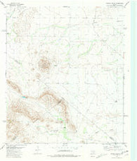 Leoncita Ranch Texas Historical topographic map, 1:24000 scale, 7.5 X 7.5 Minute, Year 1980