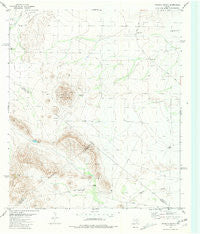 Leoncita Ranch Texas Historical topographic map, 1:24000 scale, 7.5 X 7.5 Minute, Year 1980