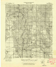 Liberty Texas Historical topographic map, 1:125000 scale, 30 X 30 Minute, Year 1943