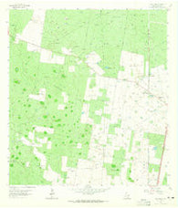 Linn Siding Texas Historical topographic map, 1:24000 scale, 7.5 X 7.5 Minute, Year 1963