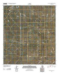 Live Oak Hollow Texas Historical topographic map, 1:24000 scale, 7.5 X 7.5 Minute, Year 2010