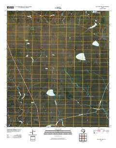 Live Oak Lake Texas Historical topographic map, 1:24000 scale, 7.5 X 7.5 Minute, Year 2010