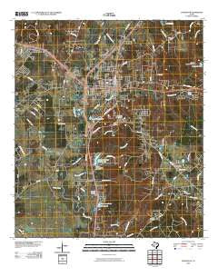 Livingston Texas Historical topographic map, 1:24000 scale, 7.5 X 7.5 Minute, Year 2010