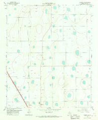 Lockney SE Texas Historical topographic map, 1:24000 scale, 7.5 X 7.5 Minute, Year 1965