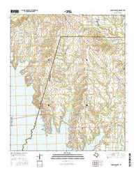 Lone Oak South Texas Current topographic map, 1:24000 scale, 7.5 X 7.5 Minute, Year 2016