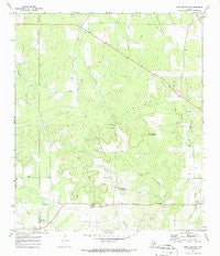 Long Mountain Texas Historical topographic map, 1:24000 scale, 7.5 X 7.5 Minute, Year 1970