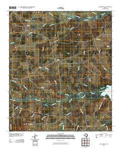 Long Branch Texas Historical topographic map, 1:24000 scale, 7.5 X 7.5 Minute, Year 2010