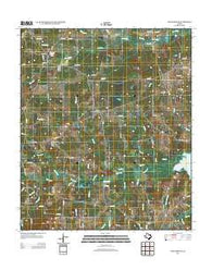 Long Branch Texas Historical topographic map, 1:24000 scale, 7.5 X 7.5 Minute, Year 2013