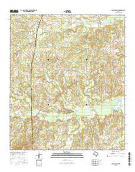 Long Branch Texas Current topographic map, 1:24000 scale, 7.5 X 7.5 Minute, Year 2016