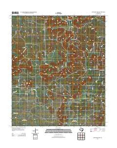 Long Hollow Texas Historical topographic map, 1:24000 scale, 7.5 X 7.5 Minute, Year 2012