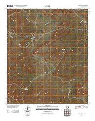 Long Point Texas Historical topographic map, 1:24000 scale, 7.5 X 7.5 Minute, Year 2011