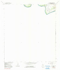 Los Garzas Texas Historical topographic map, 1:24000 scale, 7.5 X 7.5 Minute, Year 1965