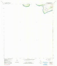 Los Garzas Texas Historical topographic map, 1:24000 scale, 7.5 X 7.5 Minute, Year 1965