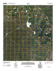 Lott Lake Texas Historical topographic map, 1:24000 scale, 7.5 X 7.5 Minute, Year 2010