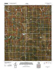 Lovers Resort Texas Historical topographic map, 1:24000 scale, 7.5 X 7.5 Minute, Year 2010