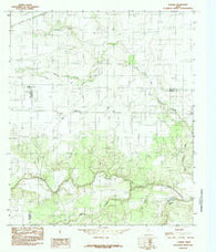 Lowake Texas Historical topographic map, 1:24000 scale, 7.5 X 7.5 Minute, Year 1984