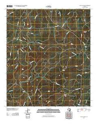 Loyal Valley Texas Historical topographic map, 1:24000 scale, 7.5 X 7.5 Minute, Year 2010